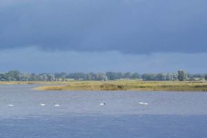 Endgültig vorbei: Der Sommer mit dieser schönen Aussicht vom Anglerhafen auf den Kubitzer Bodden.