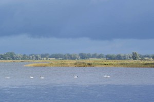 Endgültig vorbei: Der Sommer mit dieser schönen Aussicht vom Anglerhafen auf den Kubitzer Bodden.